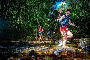 BIB: 
                            <button type="button" onclick="openModal(21765306)" class="btn btn-primary btn-sm float-right btn-popup" data-toggle="modal" data-target=".modal-high-quality">
                        <i class="fas fa-shopping-cart"></i> Add to Cart
                    </button>
                                            <button type="button" onclick="isThisMe(21765306, true)" class="btn btn-success btn-sm float-right btn-popup btn-isme hidden" data-toggle="tooltip" data-placement="bottom" title="นี่คือรูปของคุณใช่ไหม คลิกที่นี่เพื่อเอาเข้าอัลบั้ม">
                        <i class="fas fa-plus"></i> Add to album
                    </button>
                    <button type="button" onclick="isThisMe(21765306, false)" class="btn btn-warning btn-sm float-right btn-popup btn-isnotme hidden">
                        <i class="fas fa-ban"></i> Remove from album
                    </button>